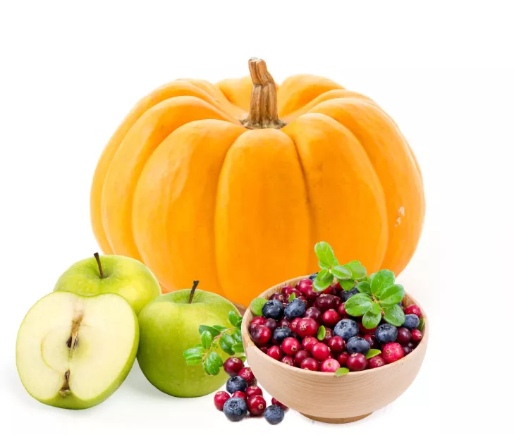 О производителе