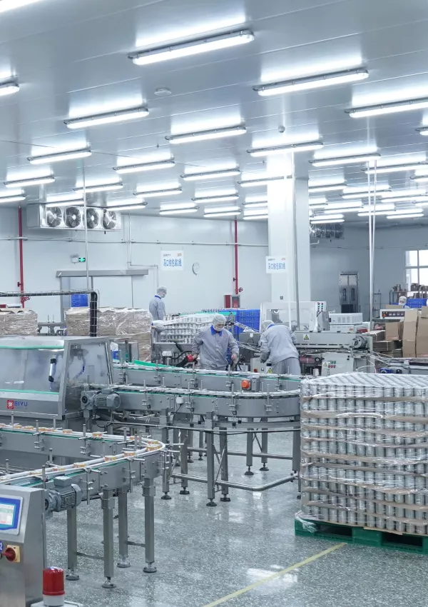 О производителе