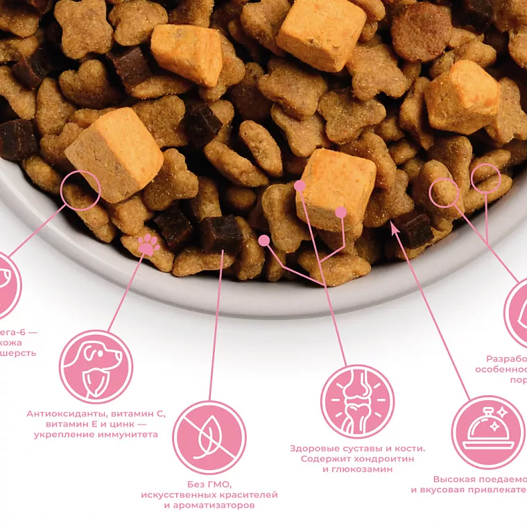 Mini Adult Lamb & Rice