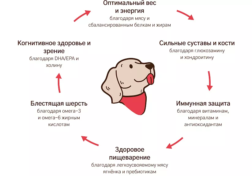Уникальная формула