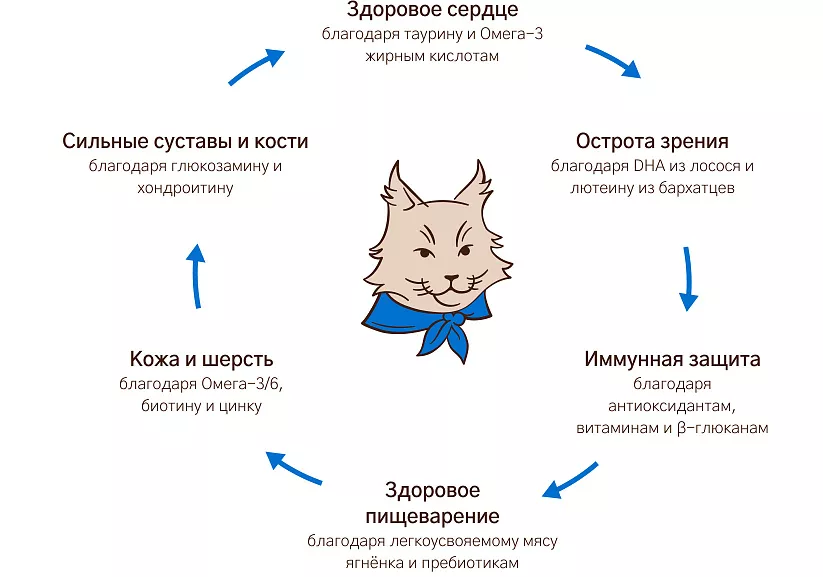 Уникальная формула