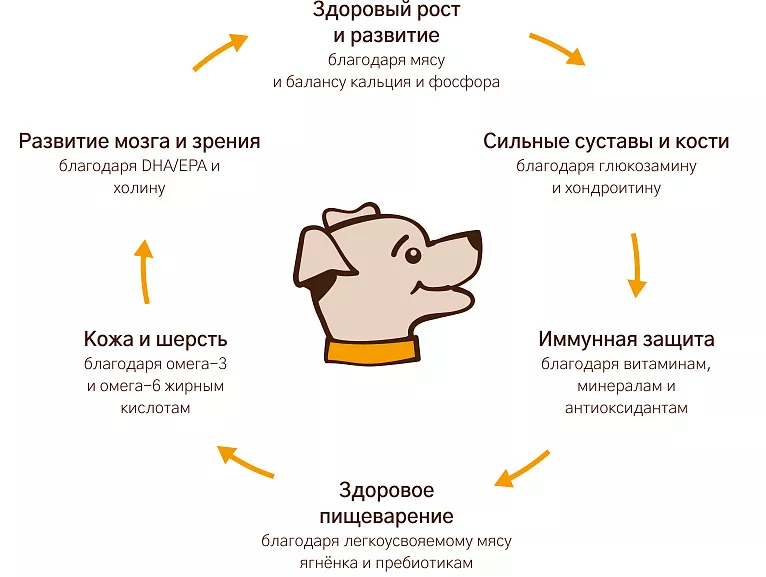 Уникальная формула