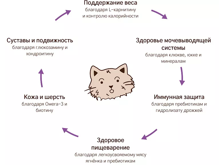 Уникальная формула