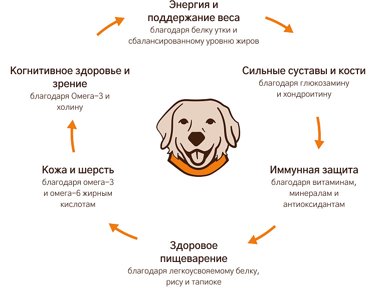 Уникальная формула