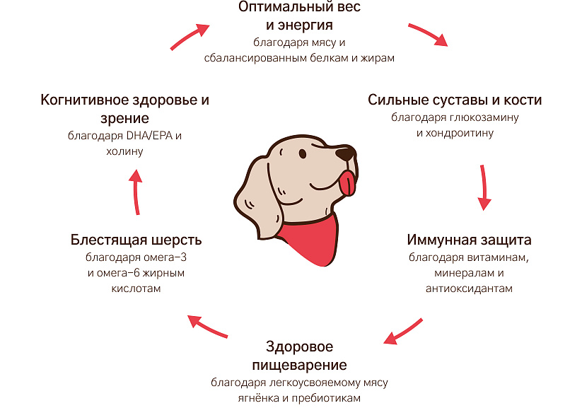 Уникальная формула