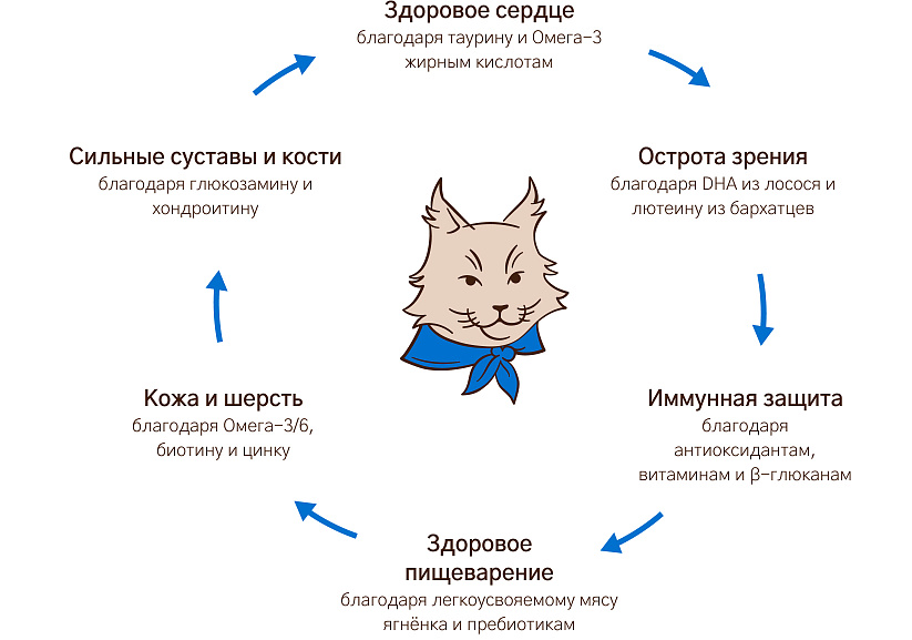 Уникальная формула