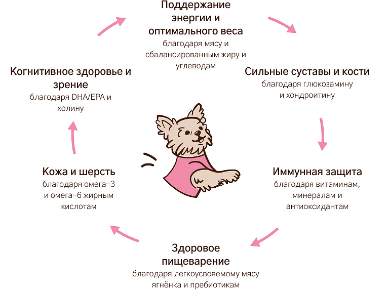 Уникальная формула