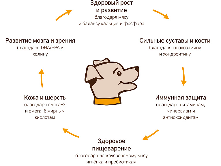 Уникальная формула